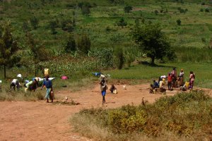 Photo taken at Akagera Road, Rwanda with SONY DSC-H3