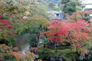 Photo taken at 48 Eikandōchō, Sakyō-ku, Kyōto-shi, Kyōto-fu 606-8445, Japan with SONY DSC-HX50V