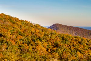 Photo taken at Shenandoah National Park, Skyline Drive, Front Royal, VA 22630, USA with Canon EOS REBEL T5i