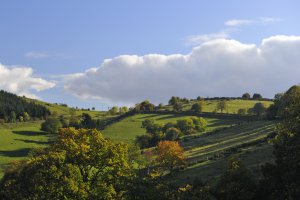 Photo taken at Le Creux Nord, 42430 Cherier, France with NIKON D3S