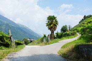 Photo taken at Via delle Piante, 19, 39012 Merano BZ, Italy with FUJIFILM FinePix X100