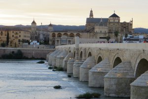 Avenida Fray Albino, 14009 Córdoba, Córdoba, Spain