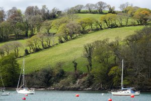 Photo taken at Bridge Rd, Kingswear, Dartmouth, Devon TQ6 0DZ, UK with SONY DSC-HX90V