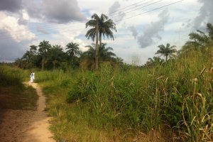 Oguta-Owerri Road, Oguta, Nigeria