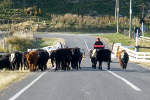 Photo taken at 130 Wharf Road, Tolaga Bay 4077, New Zealand with Panasonic DMC-ZS20