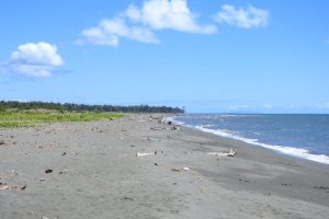 Photo taken at Ghorambau, Solomon Islands with NIKON COOLPIX P900