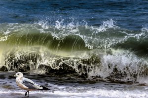 Photo taken at 3 Spruce Street, Wellfleet, MA 02667, USA with NIKON D800