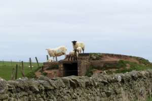 Photo taken at A1107, Duns, Scottish Borders TD11 3RP, UK with Canon PowerShot SX230 HS