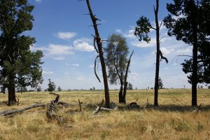 Darlington Point NSW 2706, Australia