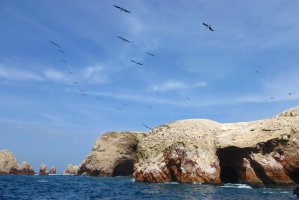 Photo taken at Reserva Nacional De Paracas, Sendero al Candelabro, Peru with Panasonic DMC-ZS20