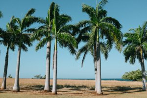 Photo taken at Costa Rica with FUJIFILM X100S