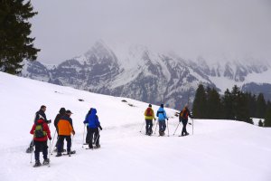 Ski trail 11, 8897 Flums, Switzerland