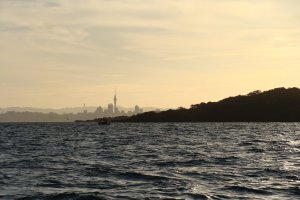 Photo taken at Vehicle Track, Rangitoto Island, Auckland 1010, New Zealand with SONY DSC-H3