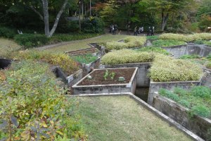 Photo taken at 1054 Ninotaira, Hakone-machi, Ashigarashimo-gun, Kanagawa-ken 250-0407, Japan with SONY DSC-HX50V