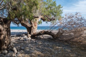 Unnamed Road, Ierapetra 720 59, Greece