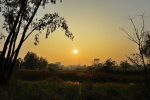 Photo taken at Nam Sang Wai Road, Nam Sang Wai, Hong Kong with NIKON D4