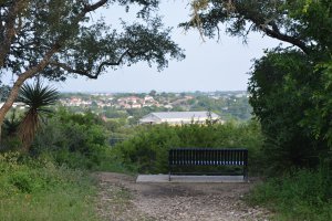 Photo taken at Tower Loop, San Antonio, TX 78247, USA with NIKON D5200