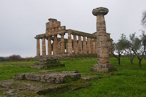 Photo taken at Via Magna Grecia, 913, 84047 Paestum SA, Italy with NIKON D300