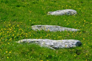 Photo taken at Unnamed Road, Romania with NIKON D90