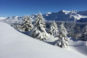 Voa Tgantieni 17, 7078 Vaz/Obervaz, Switzerland