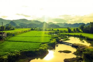 Hồ Chí Minh, Cẩm Thuỷ, Thanh Hoá, Vietnam