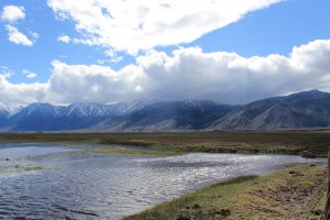 Humboldt-Toiyabe National Forest, 818-898 Genoa Lane, Minden, NV 89423, USA