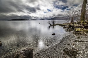 Photo taken at Queen Elizabeth Forest Park, Glasgow, Stirling G63, UK with SONY ILCE-7