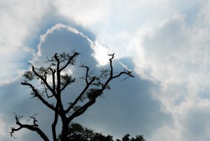 Photo taken at Sui Wan Road, Kwan Tei, Hong Kong with NIKON D80