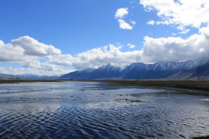 Photo taken at 818-898 Genoa Lane, Minden, NV 89423, USA with Canon EOS 1100D