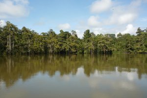 Photo taken at Kota Kinabatangan, Sabah, Malaysia with Panasonic DMC-FX37