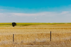 I-70, Quinter, KS 67752, USA