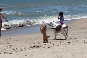 Ramsgate Trail, Kure Beach, NC 28449, USA