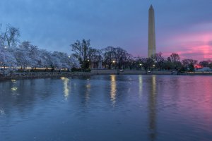 Photo taken at 1964 Independence Avenue Southwest, Washington, DC 20227, USA with Canon EOS REBEL T5i