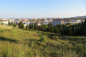 Yenişehir Mh., Gökçeeren Sitesi No:16, 34912 İstanbul/İstanbul, Turkey