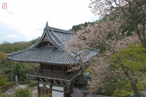 Photo taken at Japan, 〒610-1133 Kyōto-fu, Kyōto-shi, Nishikyō-ku, Ōharano Oshiochō, 1372 善峯寺 with Canon EOS 600D