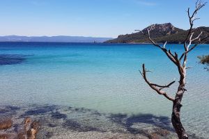 Chemin Notre-Dame, Porquerolles, Hyères, Toulon, Var, Provence-Alpes-Côte d'Azur, Metropolitan France, 83400, France