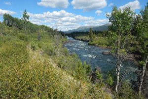 Peace River B, BC V0J, Canada