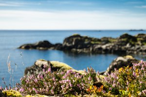 Photo taken at Kræmmervikveien 37-39, 8373 Ballstad, Norway with NIKON D7000