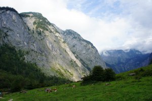 Photo taken at Berchtesgaden National Park, 83471 Schönau, Germany with SONY NEX-3