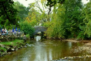 Photo taken at 2 Bow Bridge House Cottages, Ashprington, Totnes, Devon TQ9 7EE, UK with Panasonic DMC-TZ10