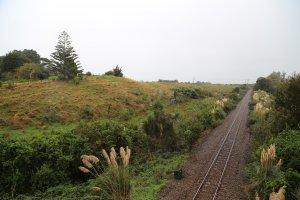 Photo taken at 263 Main Hwy, Otaki 5512, New Zealand with Canon EOS 6D