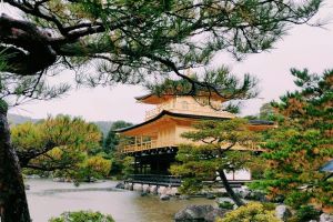 Photo taken at Kinkaku-ji (Golden Pavilion Temple), Kinkakujicho, Kita Ward, Kyoto, Kyoto Prefecture, 603-8361, Japan with OnePlus ONEPLUS A6003