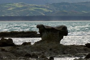 Photo taken at 904 Mahia East Coast Road, Mahia 4198, New Zealand with Panasonic DMC-ZS20