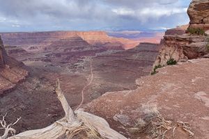 Photo taken at Anatomy of a Canyon, Shafer Trail, San Juan County, Utah, United States with Apple iPhone 12 Pro Max