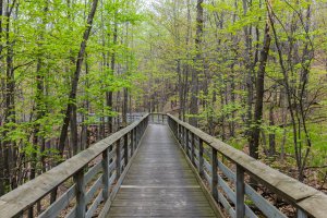 Photo taken at Interstate 94, Black River Falls, WI 54615, USA with Canon EOS 6D