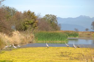 Photo taken at Delta, BC V4K 3N2, Canada with Canon EOS 5D Mark II