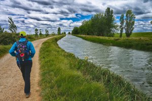 Photo taken at P-431, 34440 Frómista, Palencia, Spain with SONY NEX-6