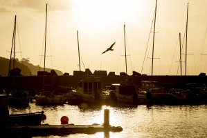 Photo taken at 159 Beach Road, Gordons Bay Central, Cape Town, 7151, South Africa with Canon EOS 6D