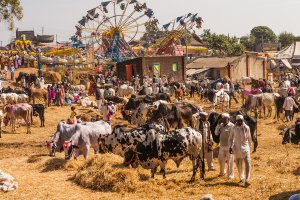 Photo taken at Unnamed Road, Rajur, Maharashtra 422604, India with Canon EOS 5D