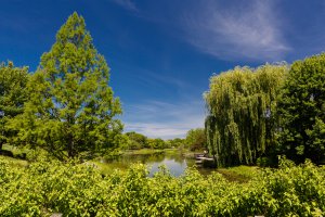 Photo taken at US-41, Northbrook, IL 60062, USA with Canon EOS 5D Mark III